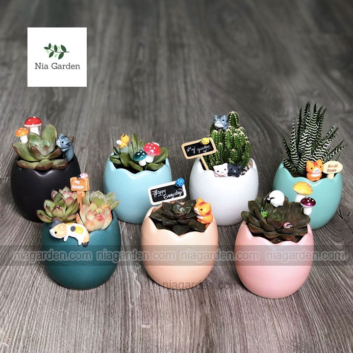 Chậu trứng nhỏ trồng sen đá, xương rồng mini - N1