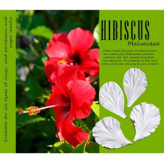 Hibicus - Khuôn vân nhựa dẻo hoa đất lấy vân 2 mặt