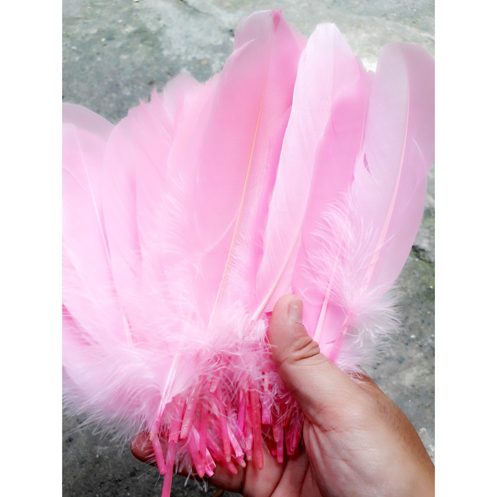 Lông vũ LỚN - màu trắng và đủ màu : 1 bịch 10g khoảng 20 cái