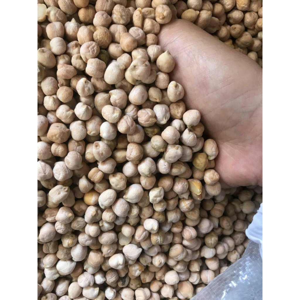 Hạt đậu gà Mỹ 500g - size to | BigBuy360 - bigbuy360.vn