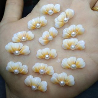 Hoa bột nail - cúc ruby