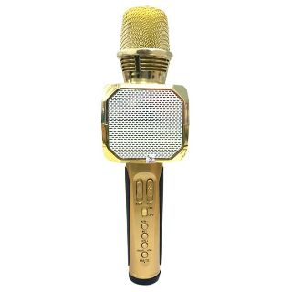Mic Karaoke SD10 kiêm loa bluetooth- Hàng chuẩn