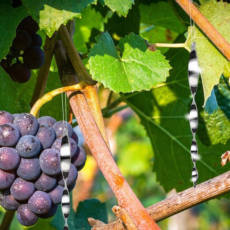 Set 6 Dụng Cụ Đuổi Chim Dạng Xoắn Ốc Tiện Lợi Sự Bảo Vệ