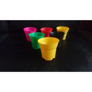 Chậu tròn 5x5 nhiều màu (Set 50 cái)