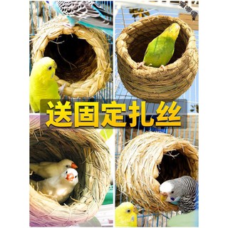 Tổ Đan Rơm Cho Vẹt Cưng