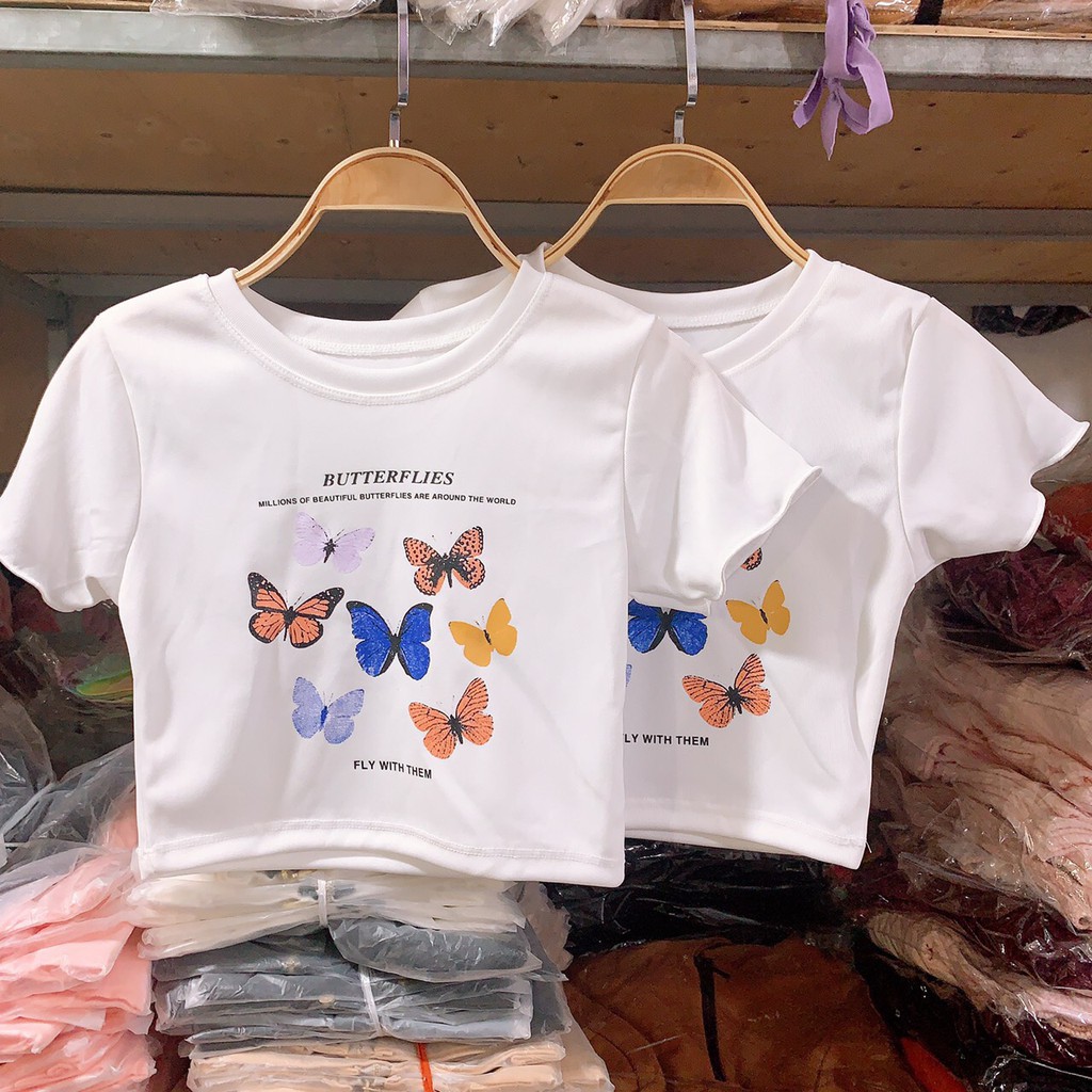 áo croptop in hình bướm butter chất đẹp xinh