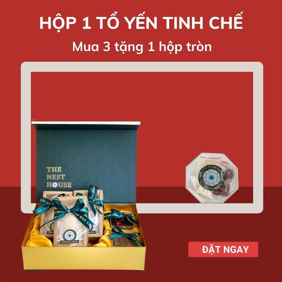 Hộp 1 tổ yến sào tinh chế cao cấp Nha Trang Khánh Hoà The Nest House