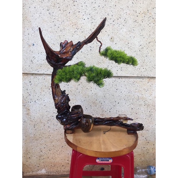 lồng Trần xích chim cu gáy