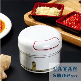Combo 10 máy xay tỏi cầm tay mini - hongyen03
