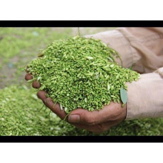 Nụ Hoa Hoè 1kg