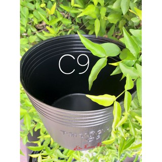 Chậu Nhựa Đen C9 Bít Lỗ