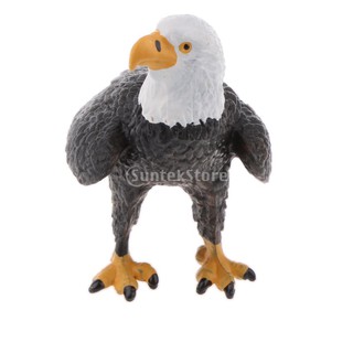 [Finevipsmy] Mô hình động vật thực tế Hình nhân vật hành động Playset Đồ chơi trẻ em Bald Eagle