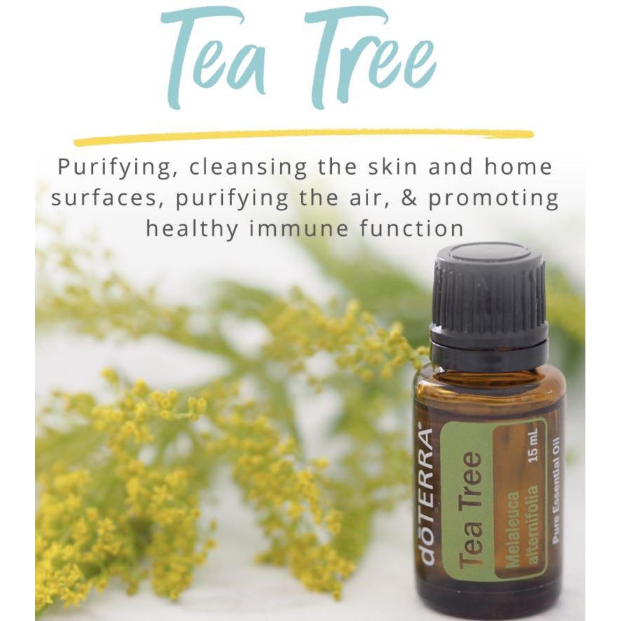 Tinh dầu Tràm Trà Tea Tree Melaleuca Tinh Dầu Nguyên Chất doTERRA USA