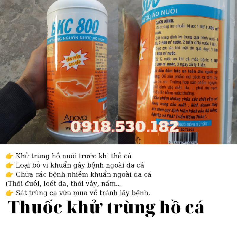 Diệt khuẩn hồ cá BKC800, chữa bệnh nhiễm khuẩn ngoài da cho cá cảnh