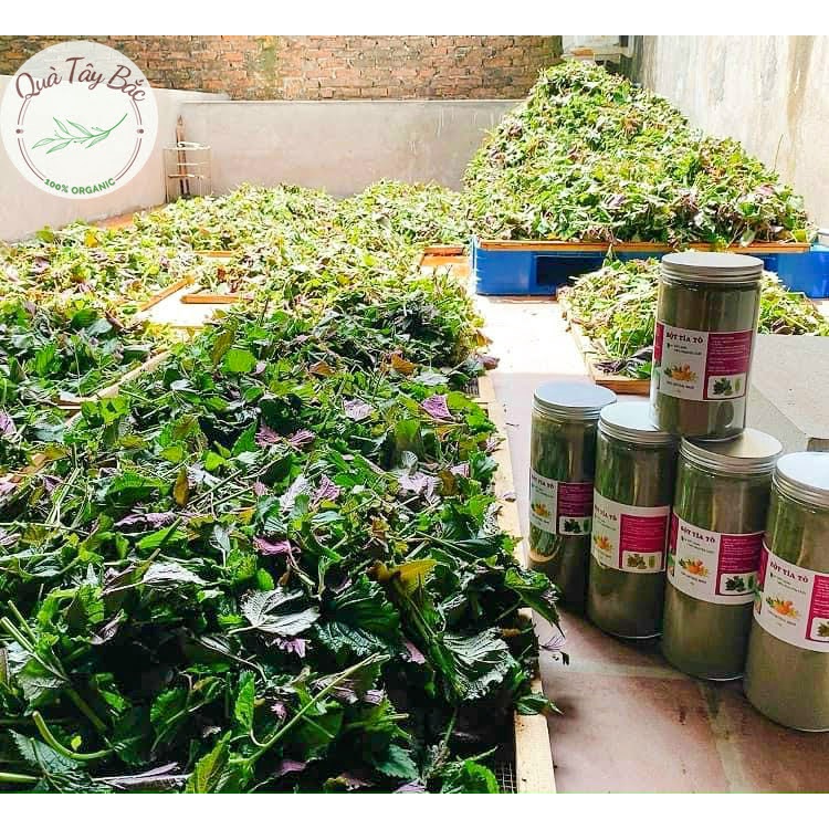 Bột lá tía tô sấy lạnh nguyên chất 100% Organic hộp 500g