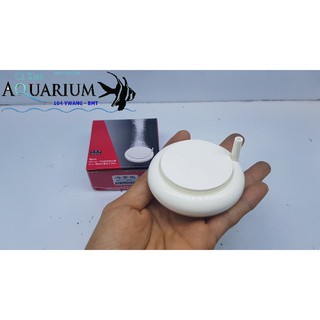 SỦI OXY ĐĨA TRẮNG SIÊU MỊN