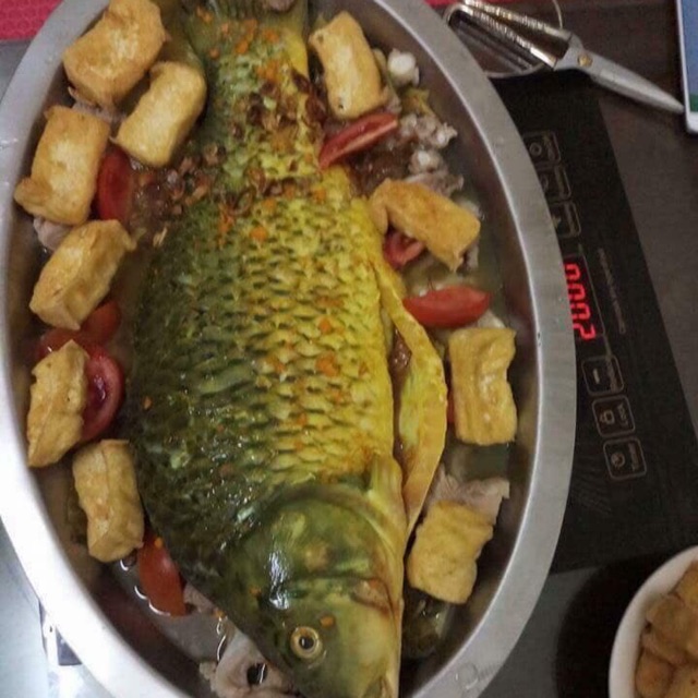 Khay cá chép ốm dưa