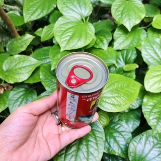 Cá hộp Ba Cô Gái 155gr (Nắp khui bật)