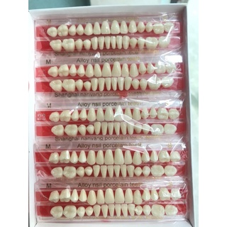 Răng sứ tháo lắp ( bộ 28 răng )