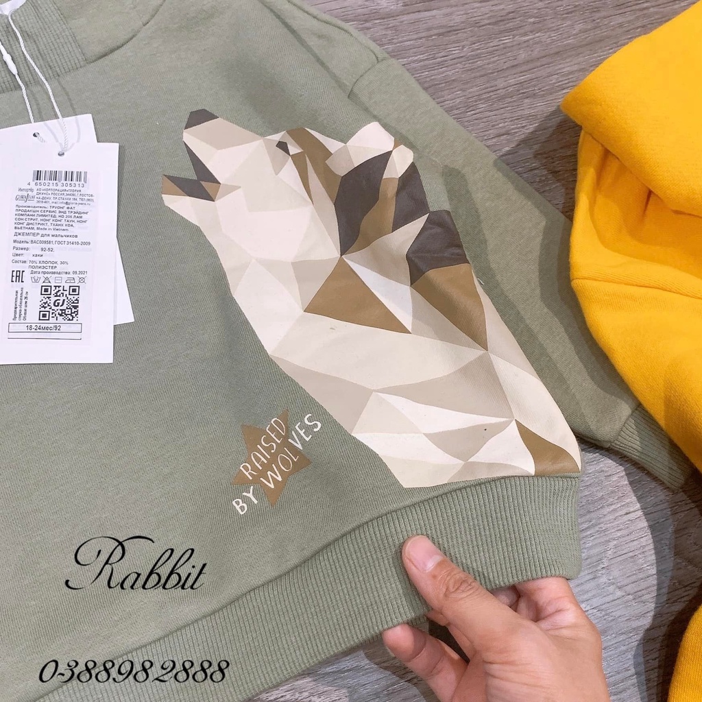Áo nỉ hoodie