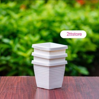 chậu treo vuông mini ( kèm dây treo)
