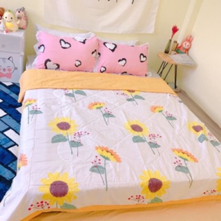 [GIÁ RẺ]Chăn Cotton đũi hè