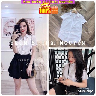 Áo sơ mi cộc tay, áo sơ mi nữ k túi from đẹp hàng loại đẹp
