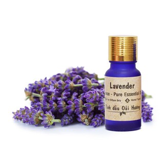 Set tinh dầu oải hương lavender