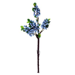 Cành việt quất cao cấp