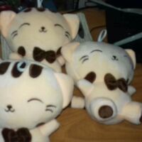 MÈO BÔNG MẶT BỰ 20cm