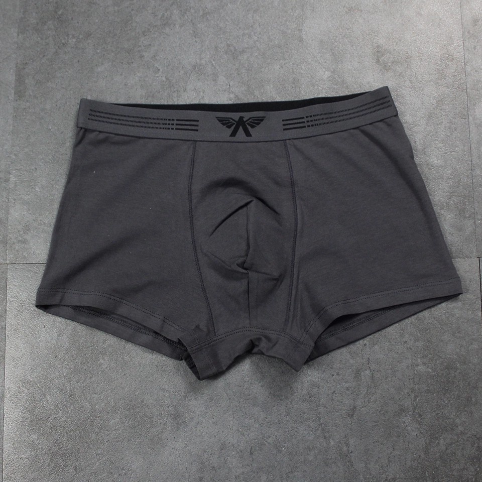 Quần lót nam Aristino ABX056 kiểu sịp đùi boxer chất liệu cotton mềm mại thoáng mát dễ chịu cao cấp chính hãng