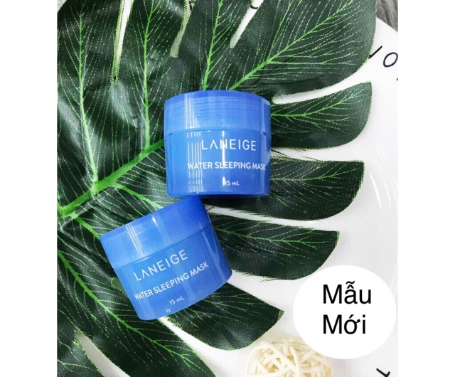 [Mẫu Mới] Mặt Nạ Ngủ Special Care Water Sleeping Mask minisize 15ml | BigBuy360 - bigbuy360.vn