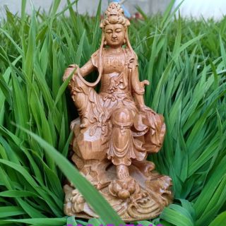 Phát Bà Quan âm tự tại gỗ bách xanh