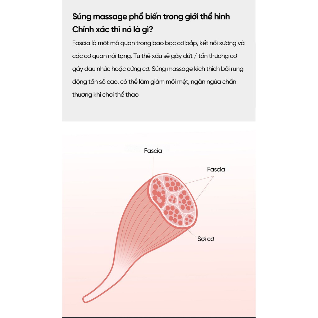 Súng massage Yunmai Slim Chic