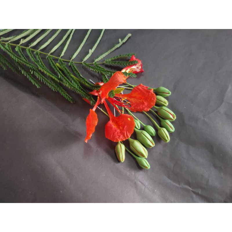 20 Nụ hoa phượng làm hoa handmade