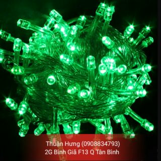 Đèn Led dây chớp trang trí Noel(xanh lá)~5m-10m