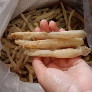 Free ship từ 99k- Sá sùng Quảng Ninh 2 loại nấu phở và rang ăn