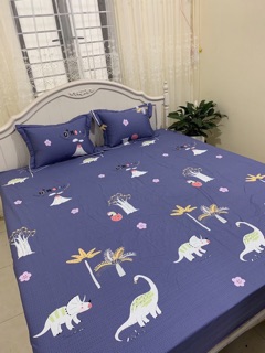 Bộ ga gối cotton Hàn Quốc