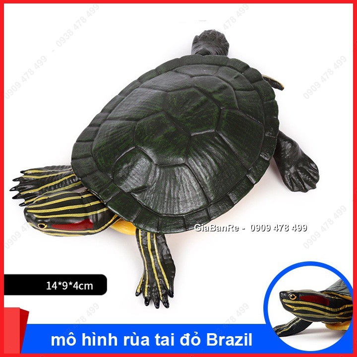 Mô Hình Rùa Brazil Tai Đỏ - 7702.5