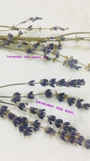 Hộp hoa Lavender Pháp (hàng nhập khẩu Pháp)