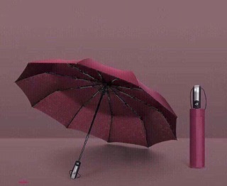 Ô tự động xuất Nhật Bản