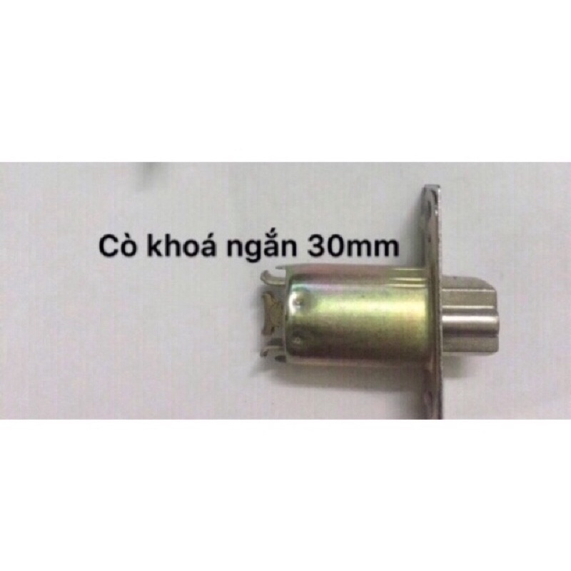 ổ khoá tay nắm tròn INOX ( combo 4 ổ khoá dùng chung 1 chìa chủ , loại cò ngắn dùng cho cửa gỗ )