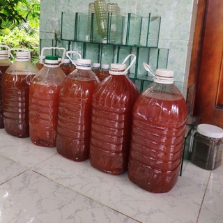 PSB VI SINH Bình 5 lít Vi Khuẩn Quang Hợp-PSB GOLD