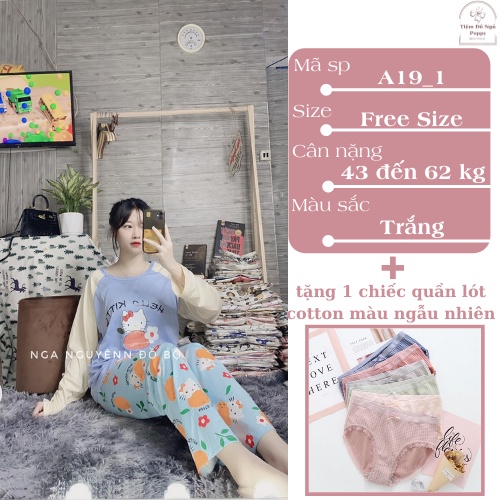 Đồ bộ thun cotton quần dài, bộ mặc nhà nữ hàn quốc, Pijama nữ họa tiết hoạt hình cao cấp giá rẻ