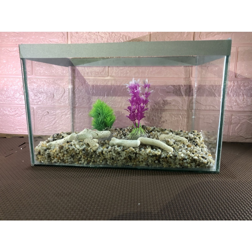 Hồ cá, bể cảnh thủy sinh để bàn (D38XR20XH20), Bể cá,hồ cá thủy sinh TẶNG kèm đá và cây