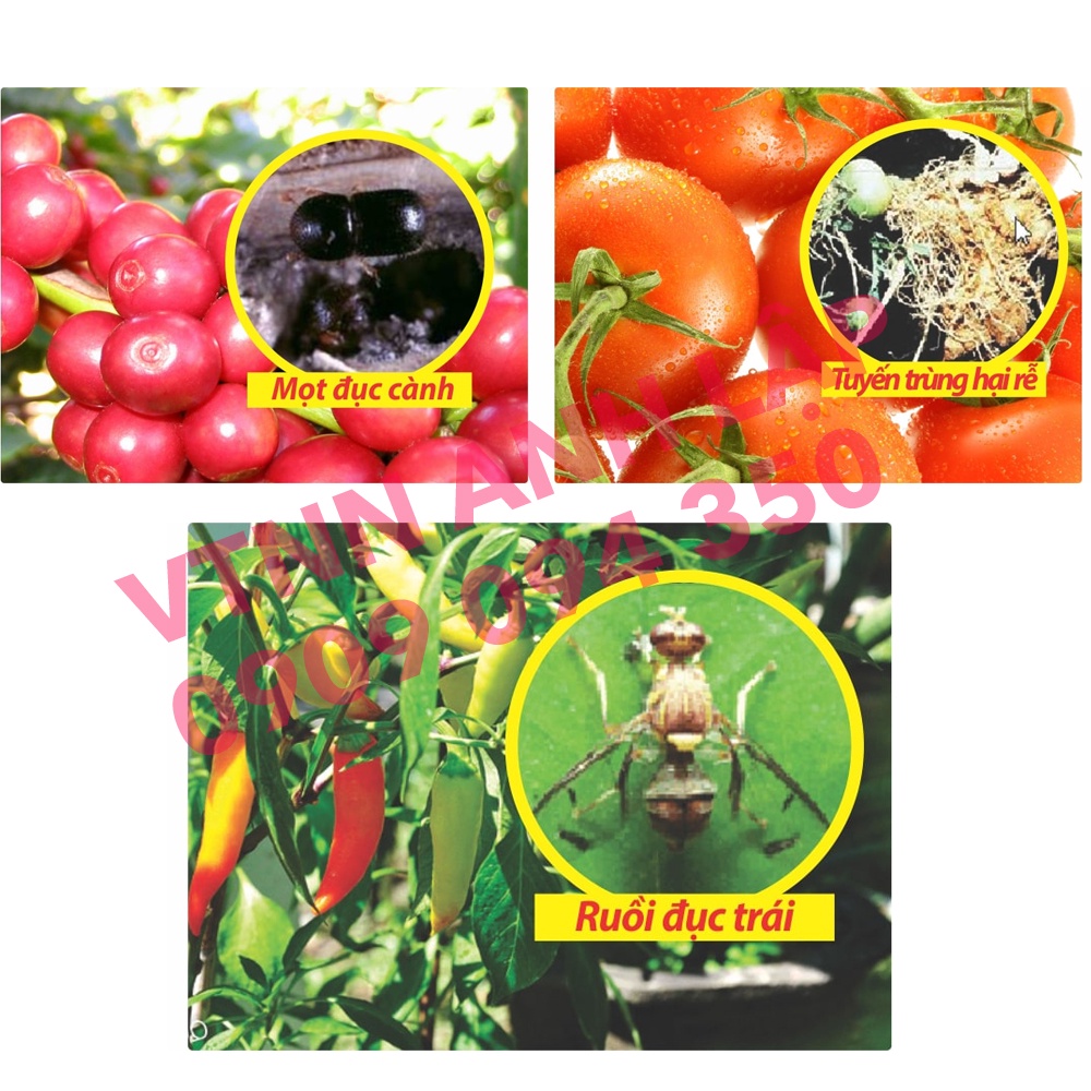 Chế phẩm bảo vệ cây trồng ruồi đục trái, sâu đục thân Carbosan 25EC 100ml - Hợp Trí