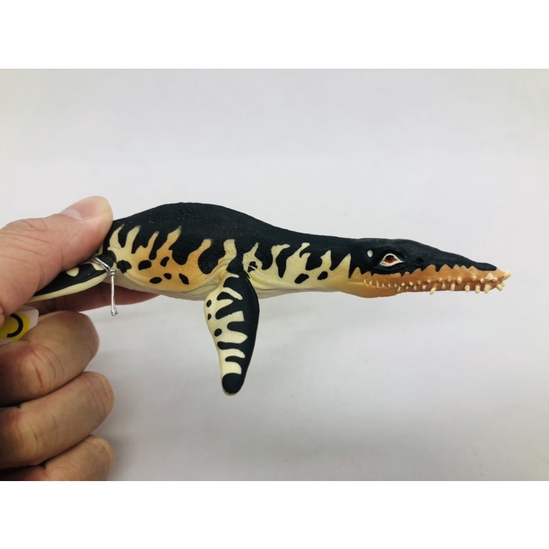Mô hình động vật , đồ chơi con vật CollectA chính hãng khủng long Liopleurodon 88237 - Schleich House