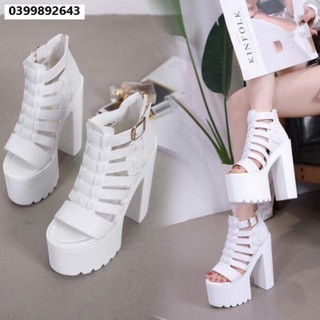Giầy cao gót nữ hot 2020 cao 15 và 16 phân hàng nhập cao cấp cực nhẹ và cực êm