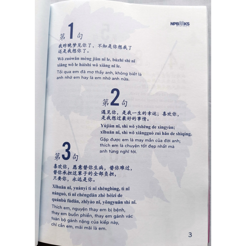 Sách - Bí kíp thả thính ( Song ngữ Trung Việt)