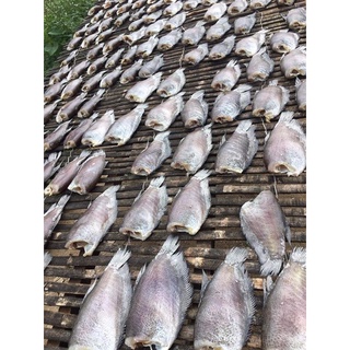 Khô cá sặc bổi 3 nắng loại 1 6-7 con 1kg không đầu